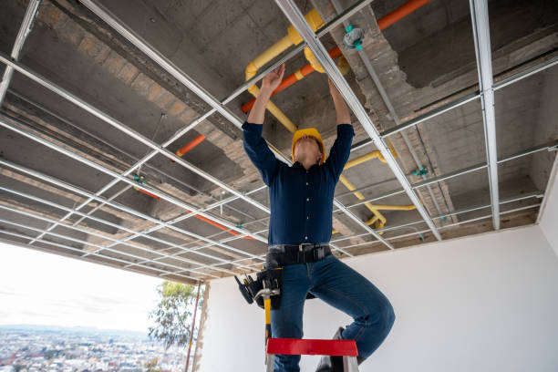 Best Residential Plumbing Services  in Corydon, IA