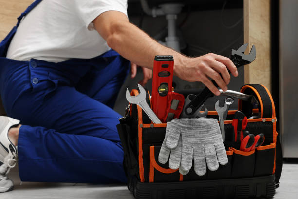 Best Clogged Drain Plumber  in Corydon, IA